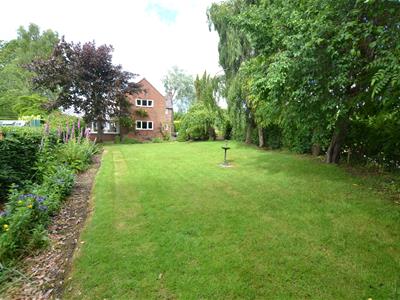Picture 27